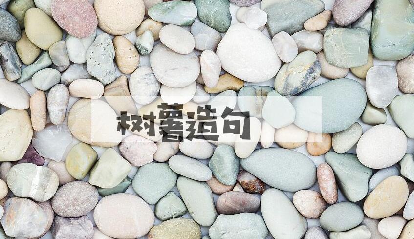 用树薯造句