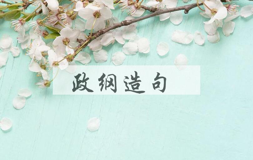 用政纲造句