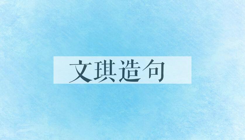 用文琪造句