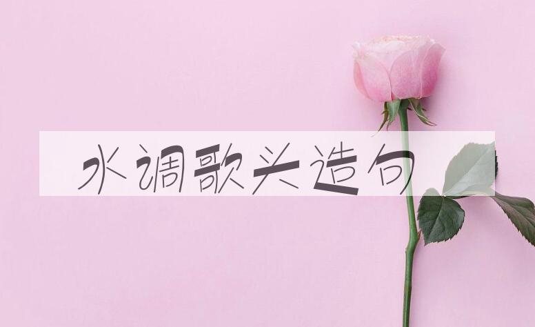用水调歌头造句