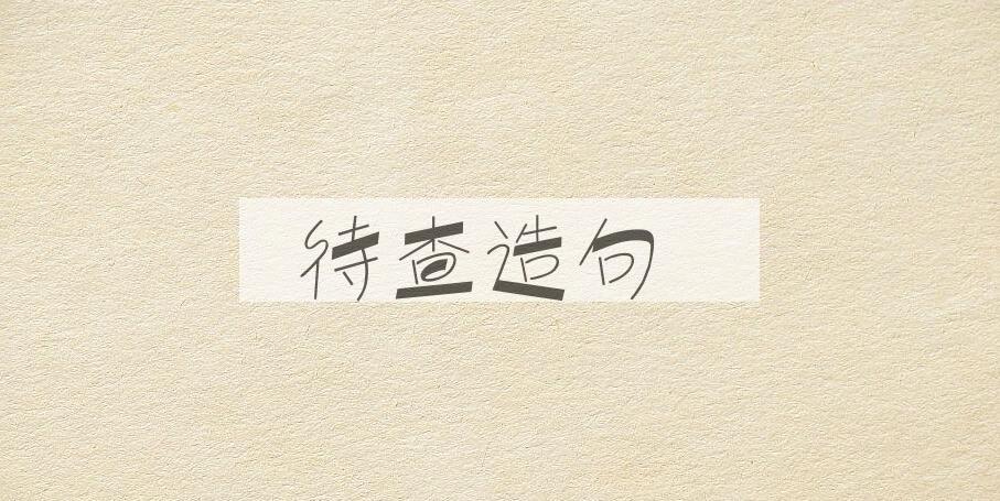 用待查造句