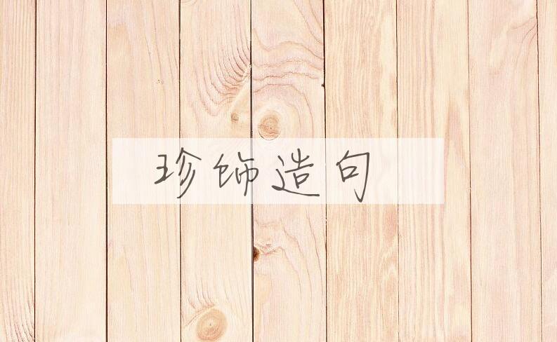 用珍饰造句