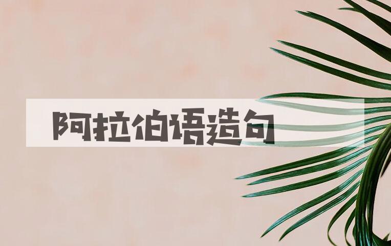 用阿拉伯语造句