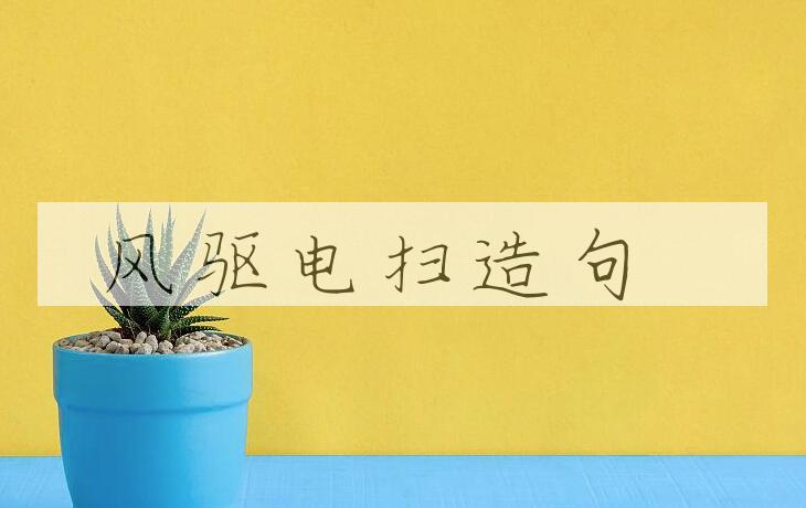 用风驱电扫造句