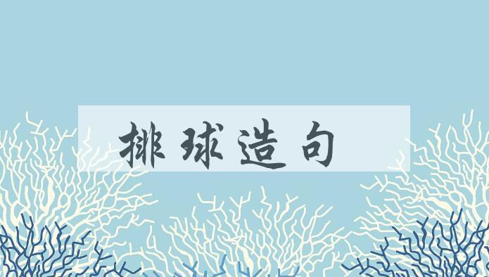 用排球造句