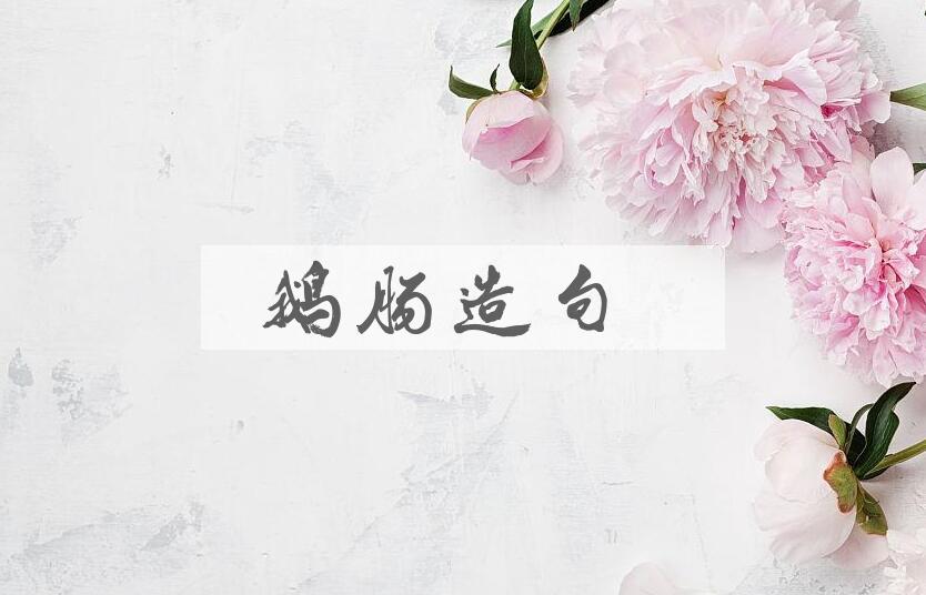 用鹅肠造句