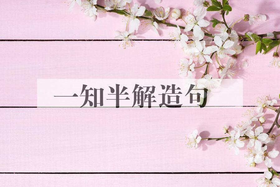 用一知半解造句
