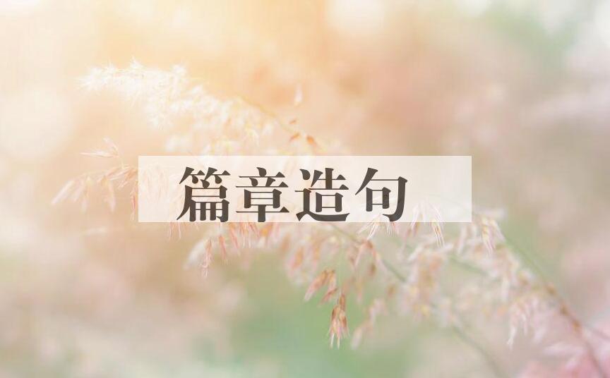 用篇章造句
