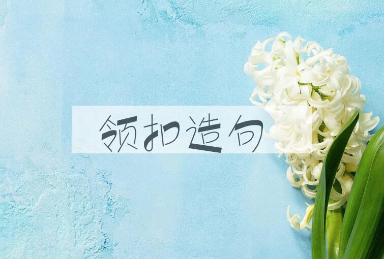 用领扣造句