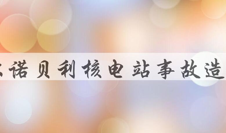 用切尔诺贝利核电站事故造句