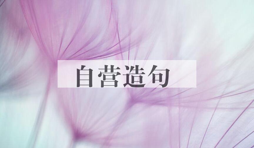 用自营造句