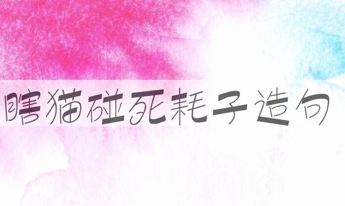 用瞎猫碰死耗子造句