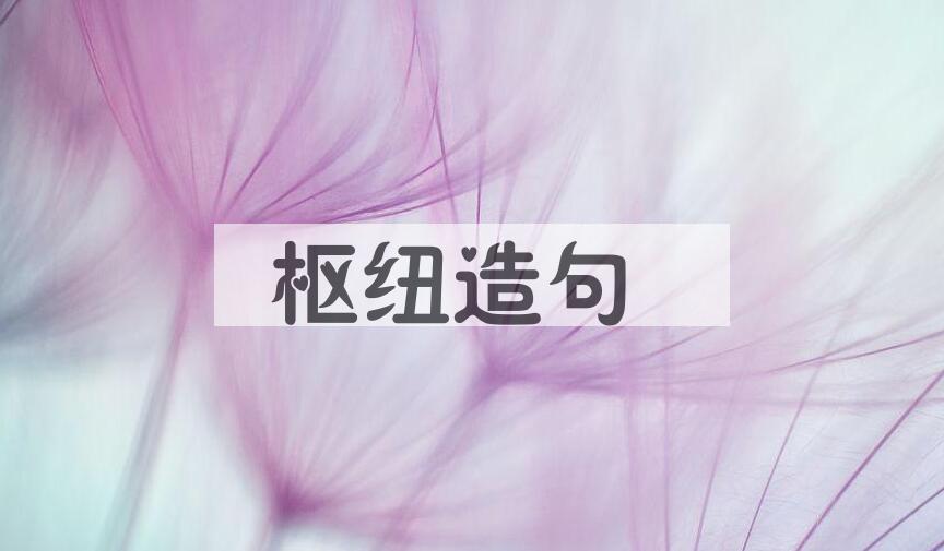 用枢纽造句