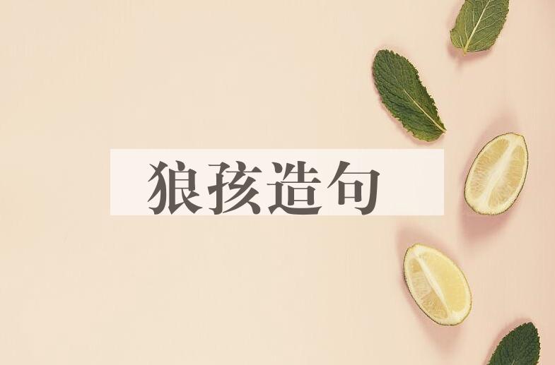 用狼孩造句