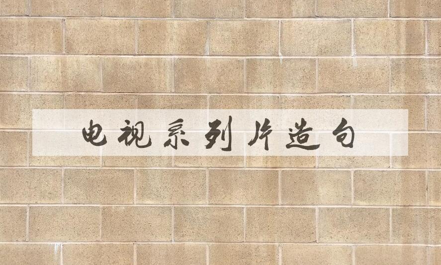 用电视系列片造句