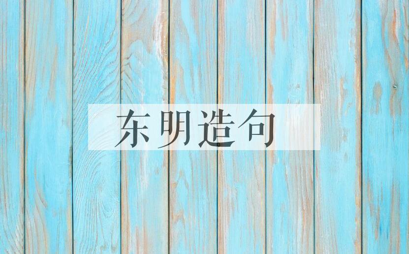 用东明造句