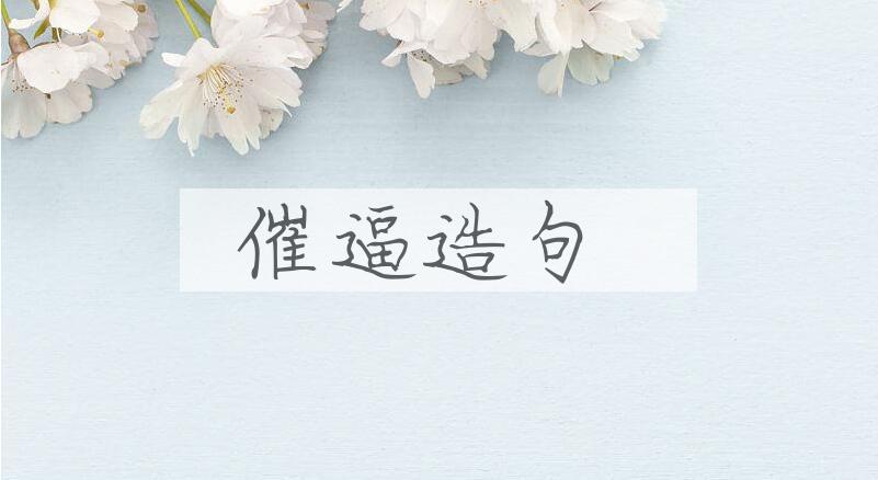 用催逼造句