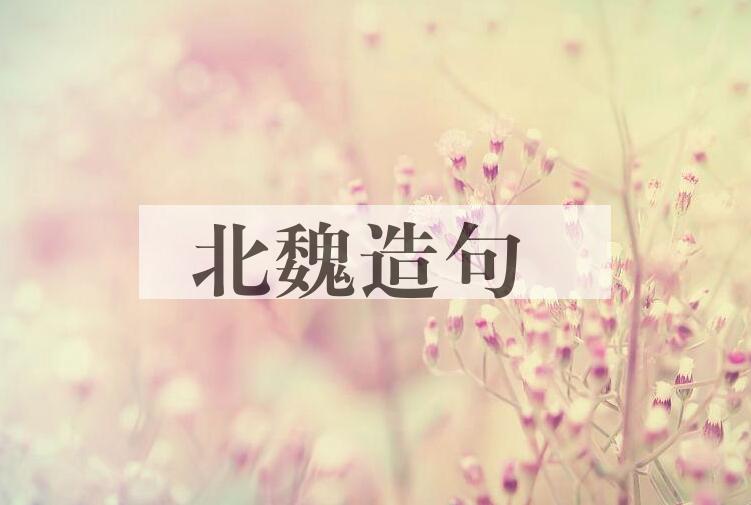 用北魏造句