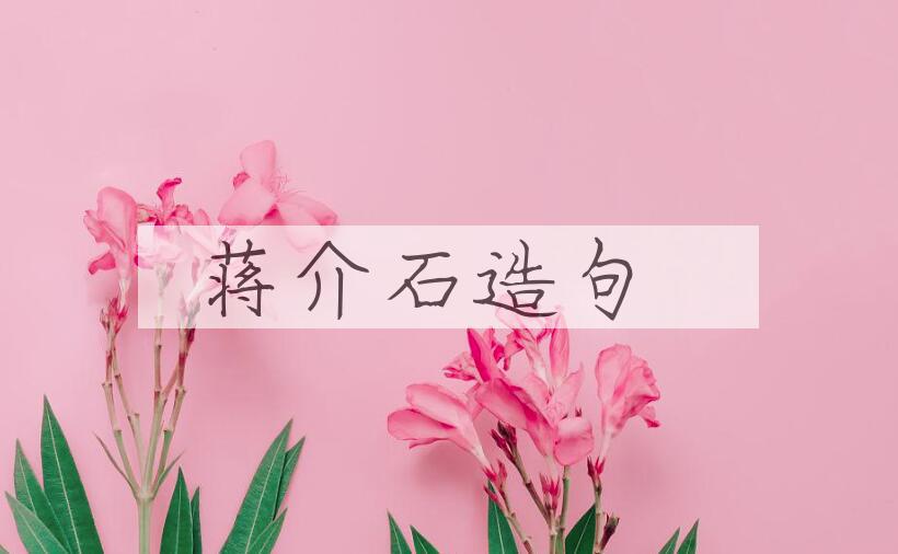 用蒋介石造句