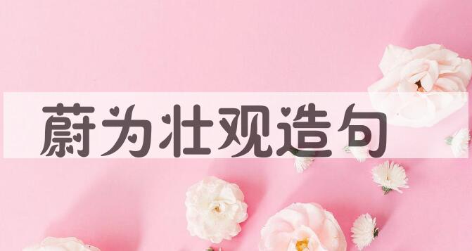 用蔚为壮观造句