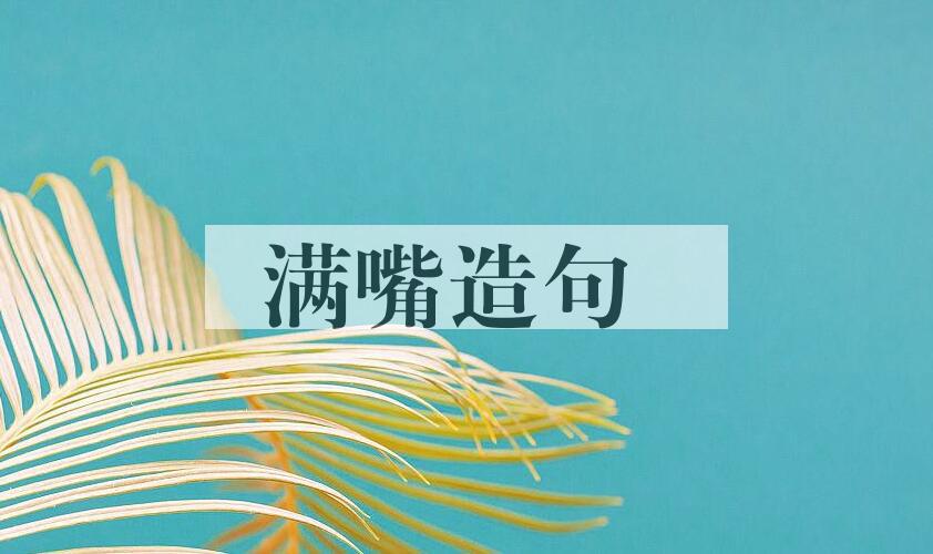 用满嘴造句