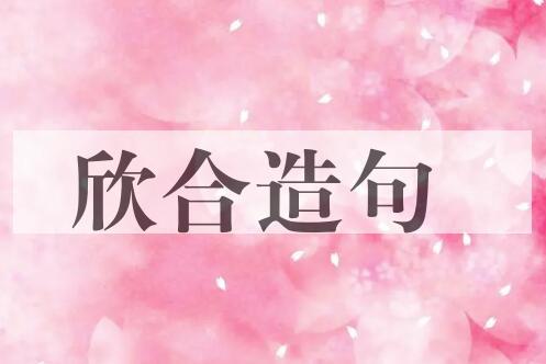 用欣合造句