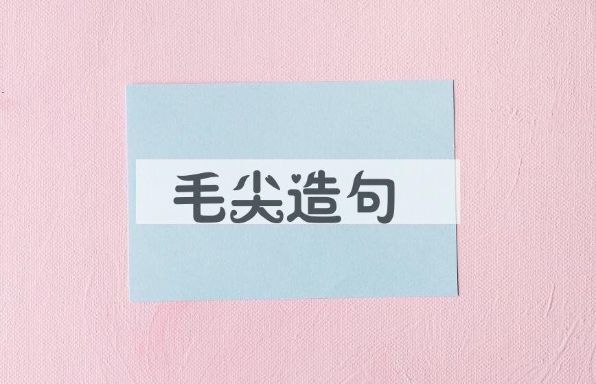 用毛尖造句