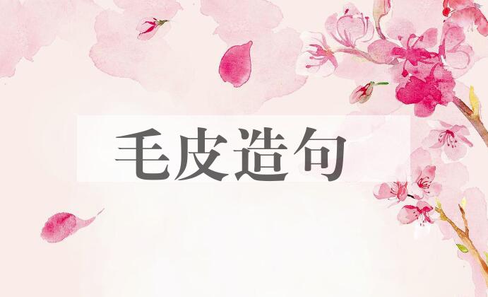 用毛皮造句