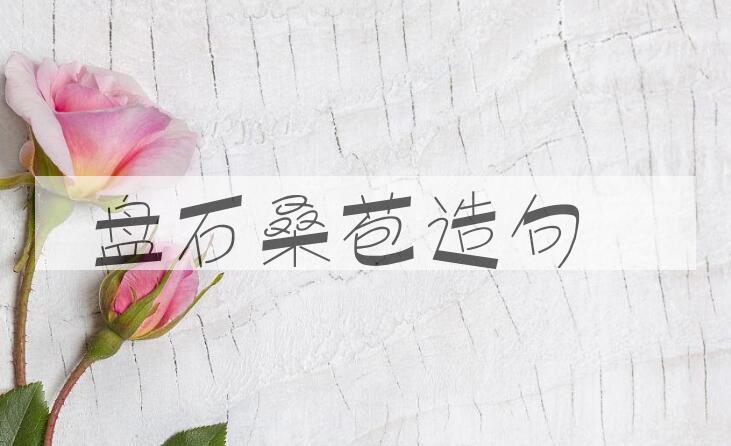 用盘石桑苞造句