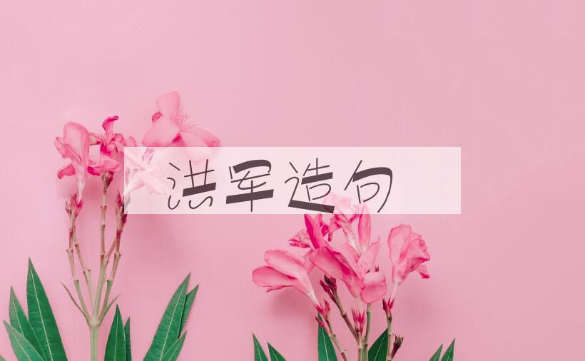 用洪军造句