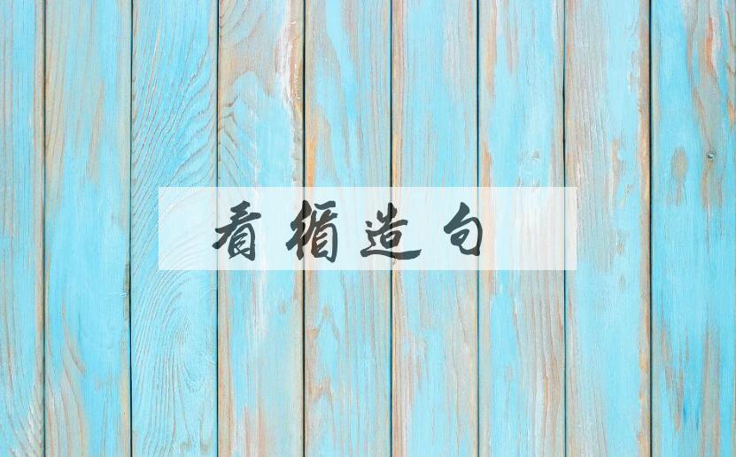 用看循造句