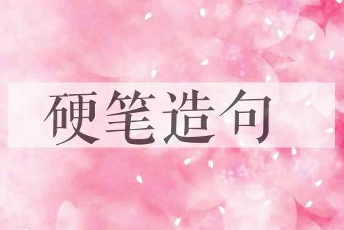 用硬笔造句