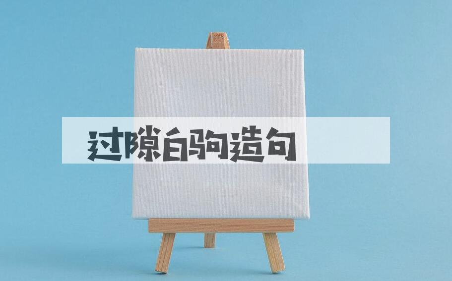 用过隙白驹造句