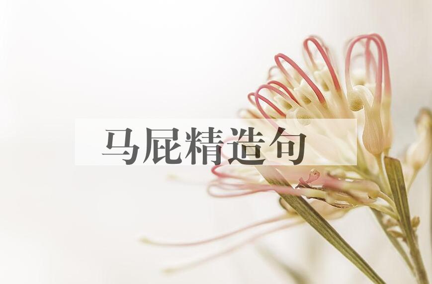 用马屁精造句