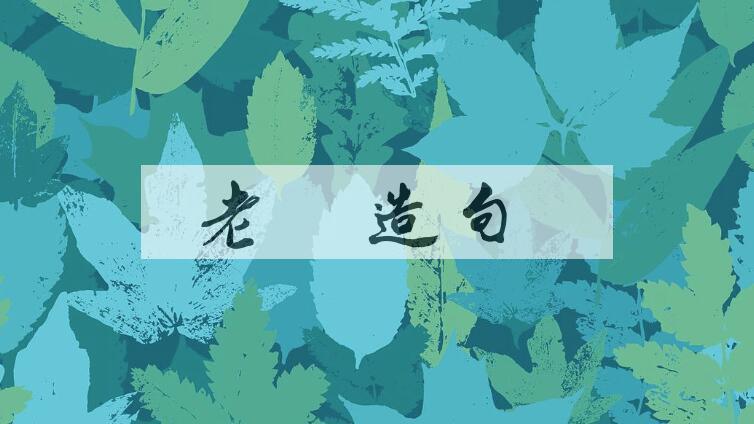用老耄造句
