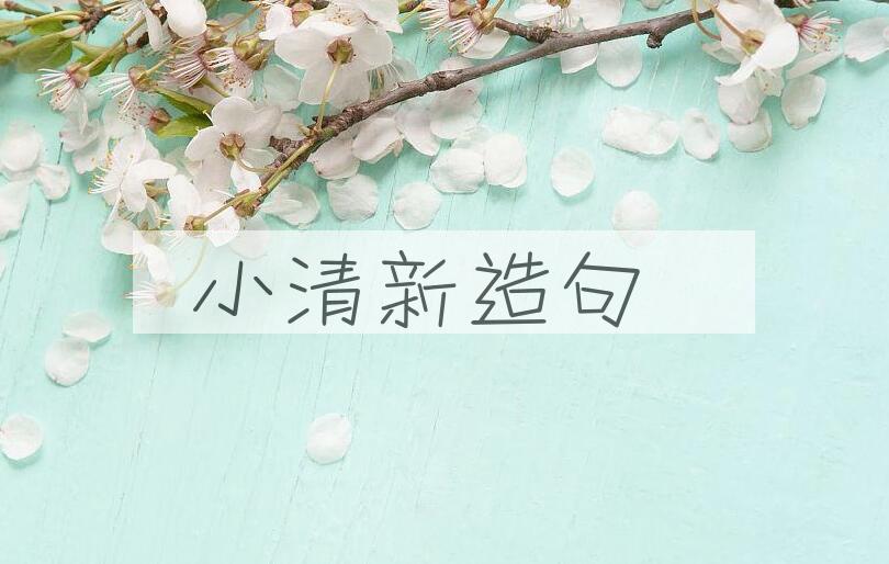 用小清新造句