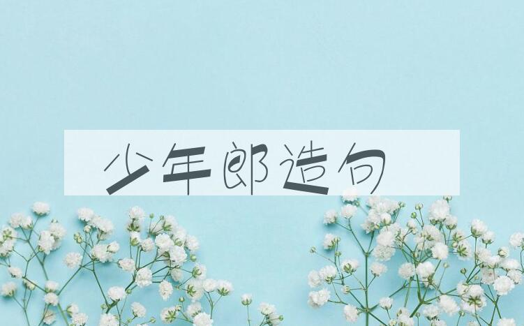 用少年郎造句