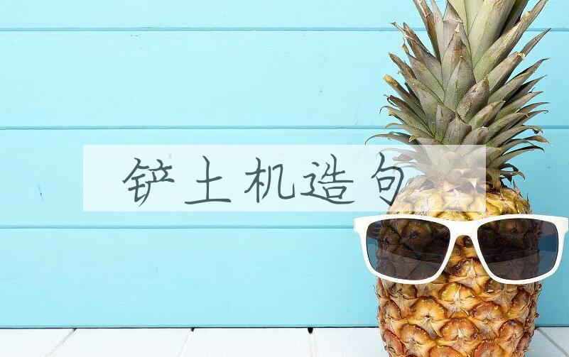 用铲土机造句