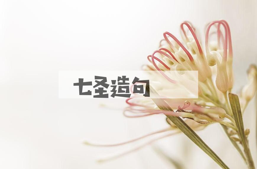 用七圣造句