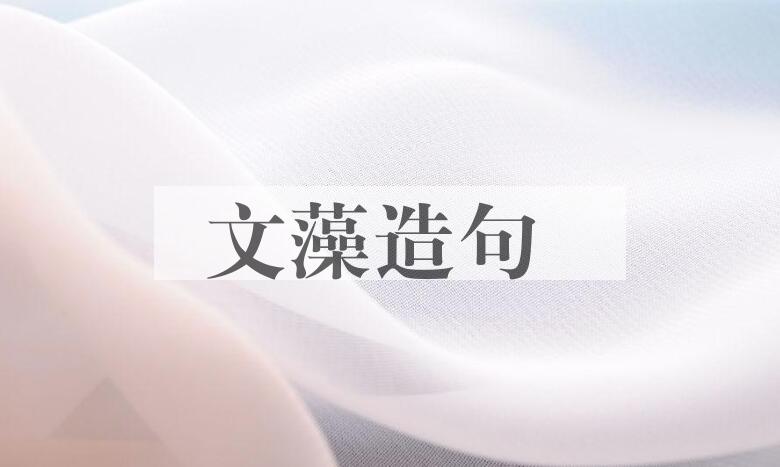 用文藻造句