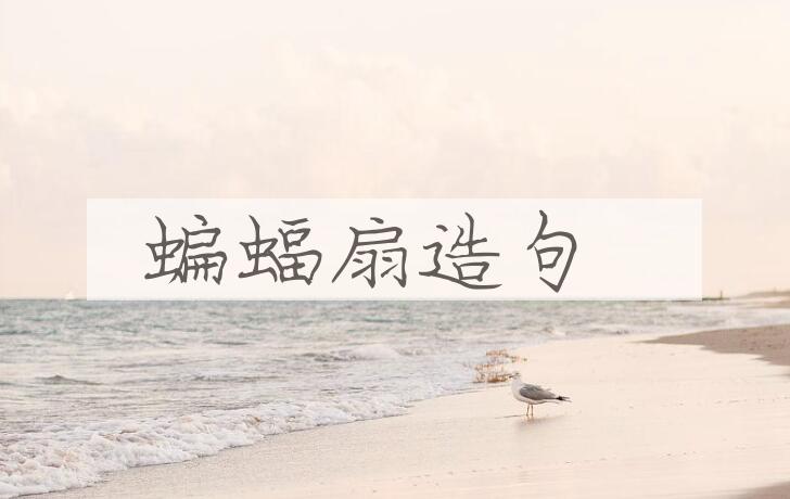 用蝙蝠扇造句