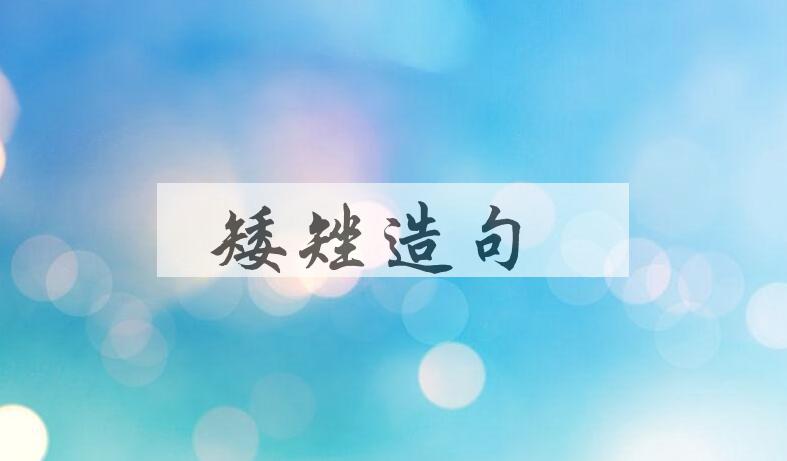 用矮矬造句