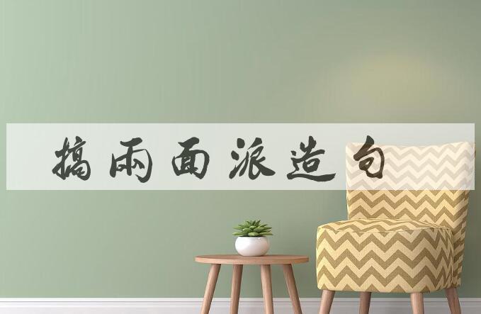 用搞两面派造句