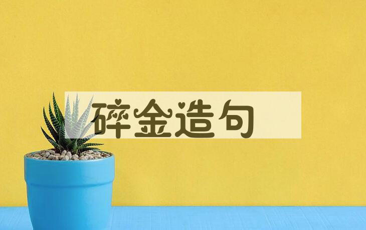 用碎金造句