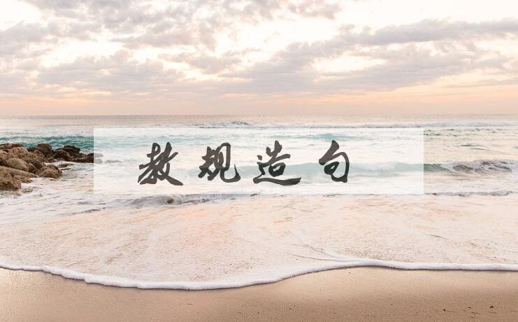 用教规造句