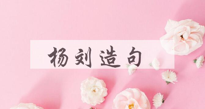 用杨刘造句