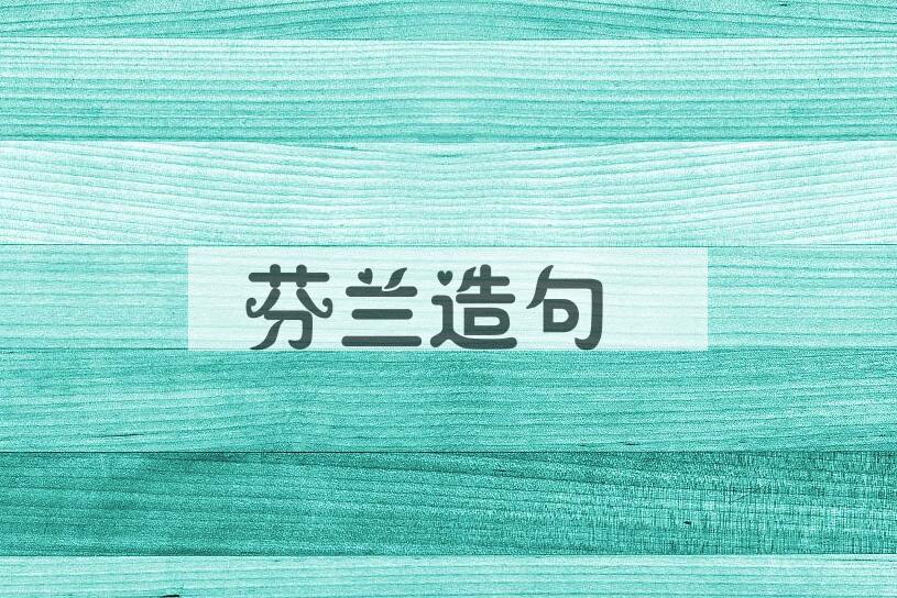 用芬兰造句