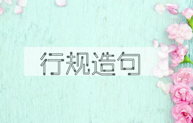 用行规造句