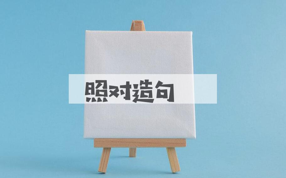 用照对造句