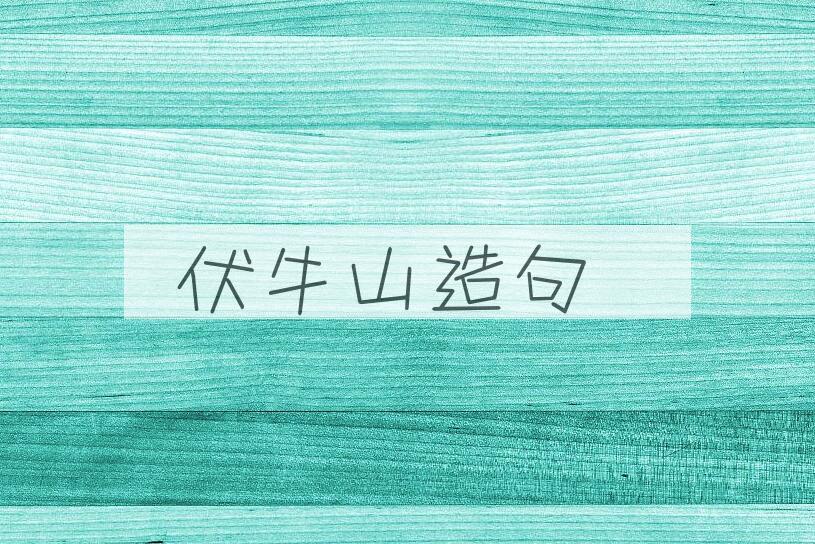 用伏牛山造句